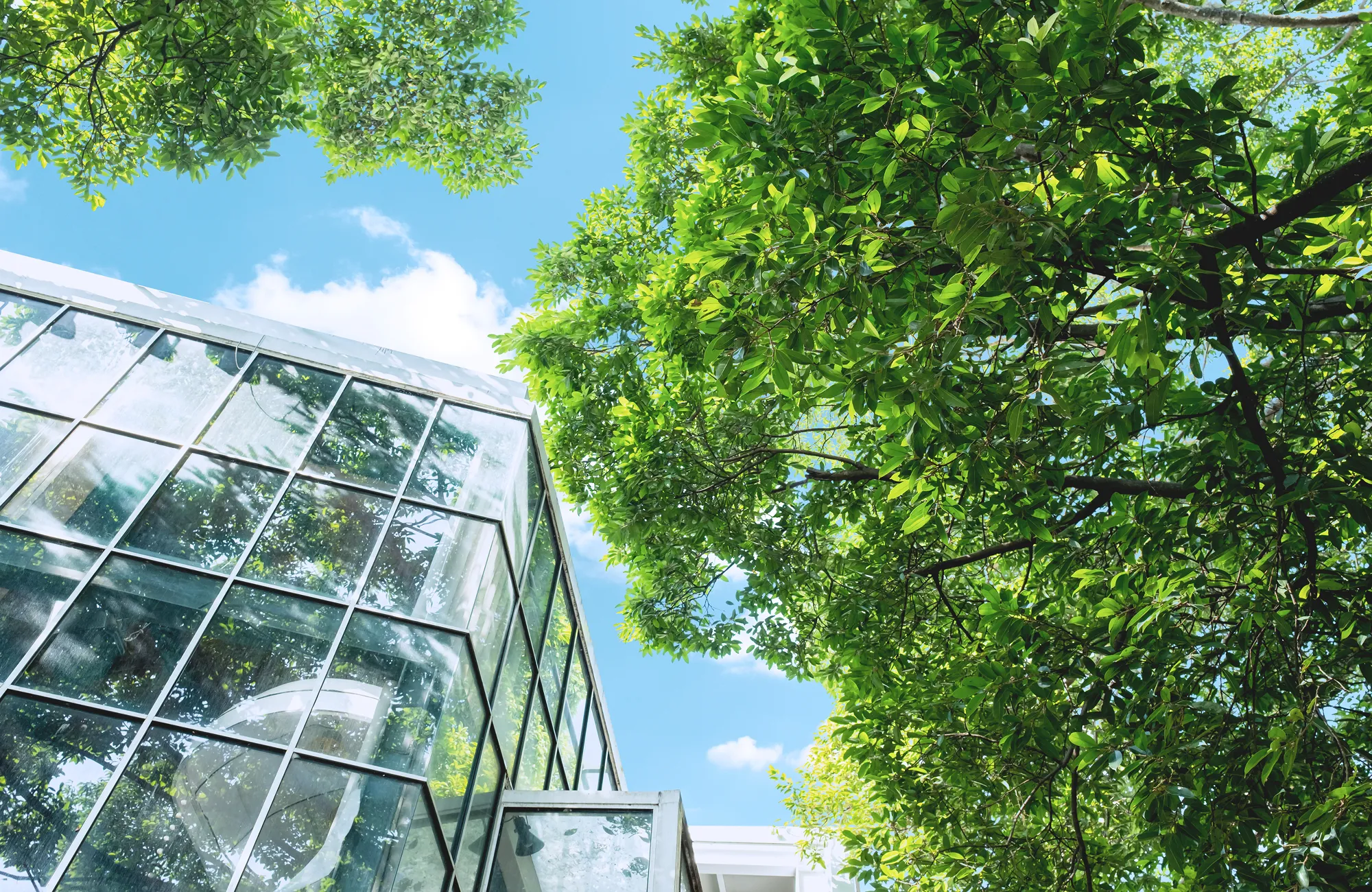 省エネルギー化